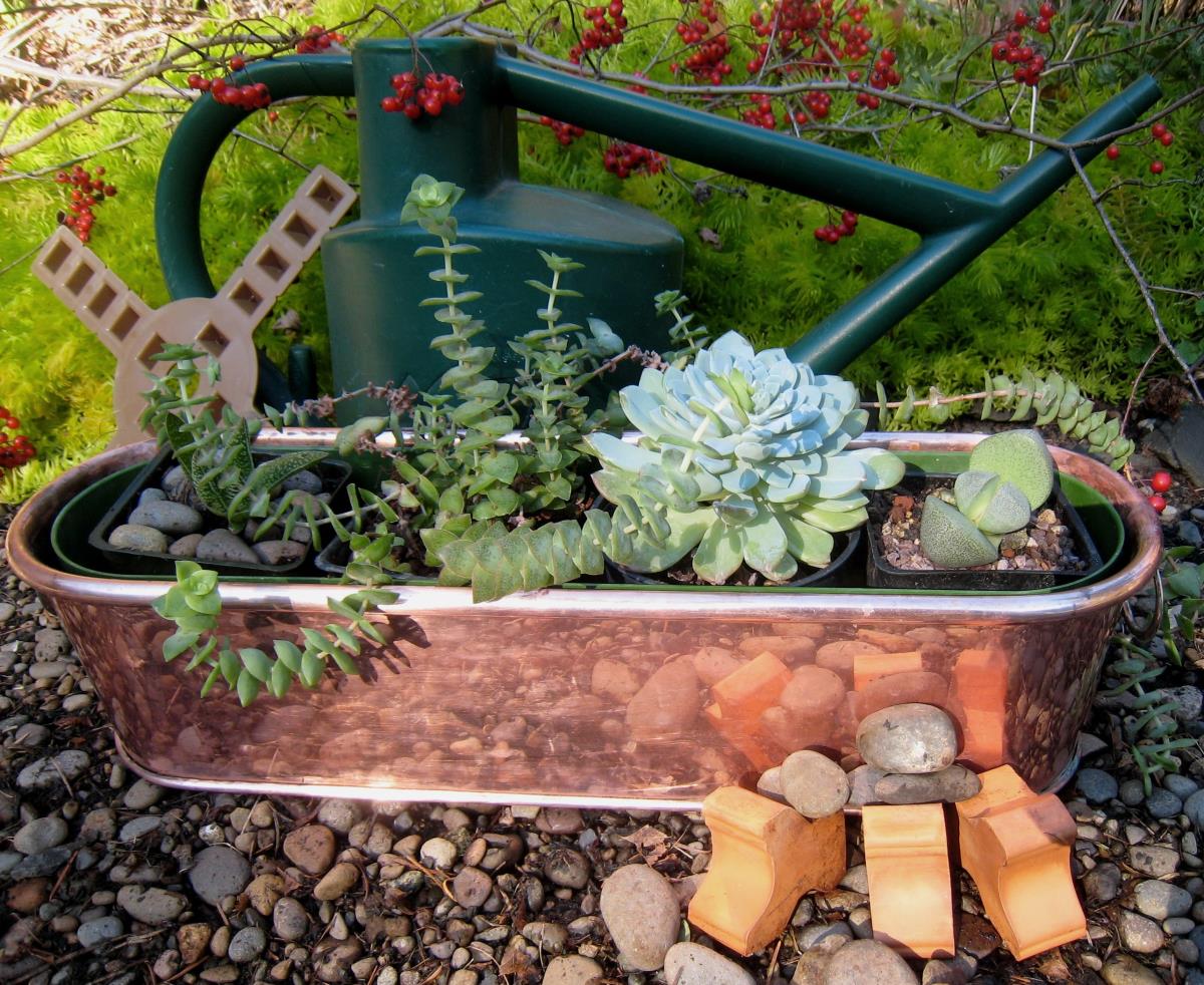 Indoor Gardening Gifts Unusual Ideas, Indoor Gardening Gifts Uk