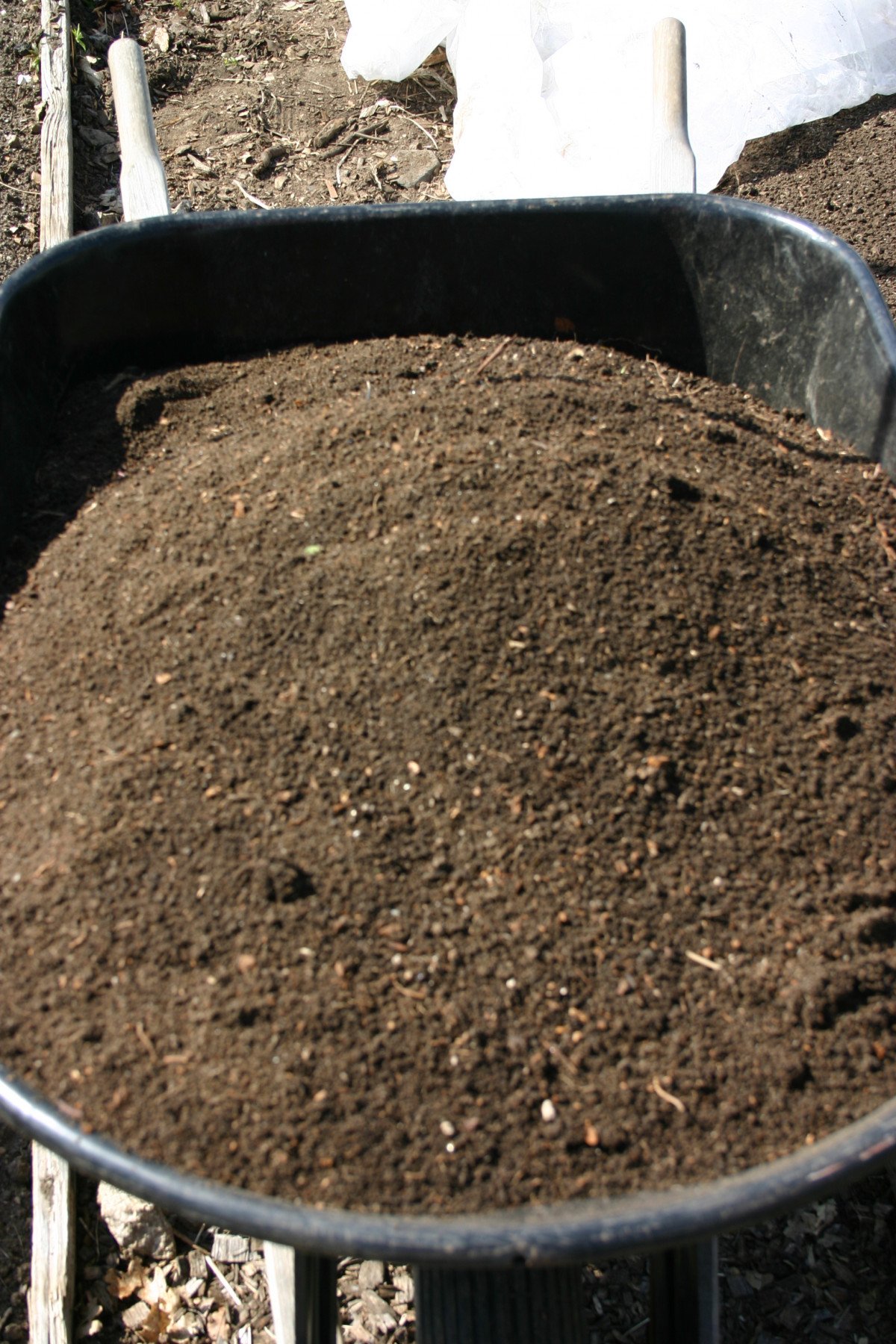 Buy Instant Seed & Potting Compost