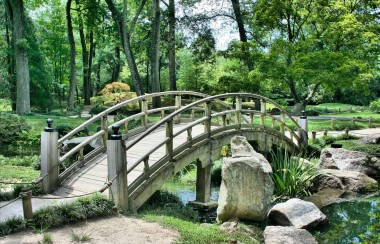 wooden-bridge-across-river-in-forest