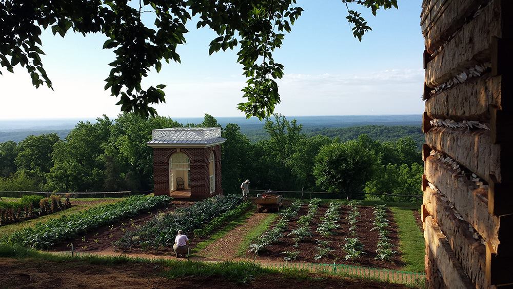 View of the Monticello Garden