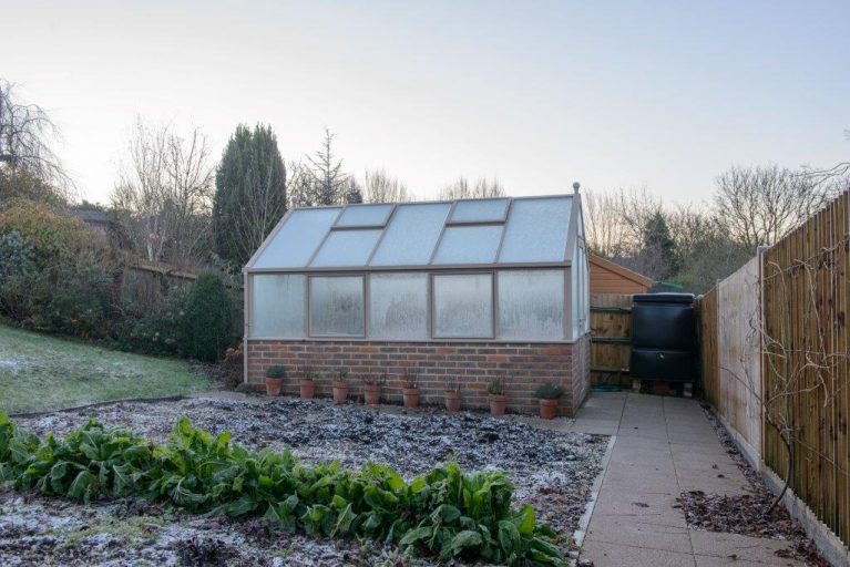 A Guide to Bubble Wrapping a Greenhouse - Hartley Botanic