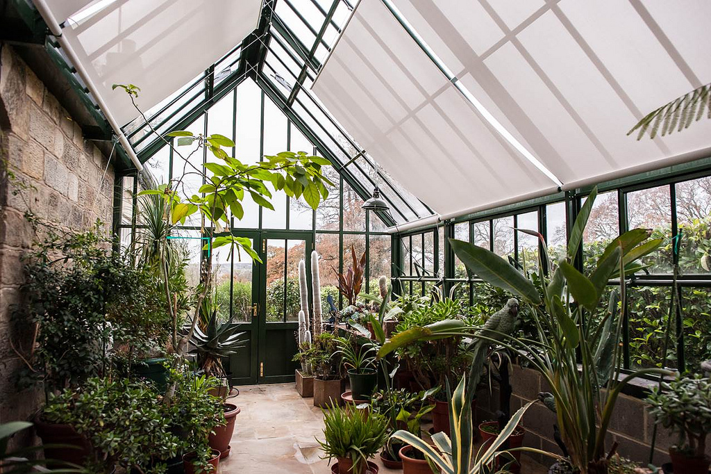 Botanical Gardens & Conservatories - By Hartley Botanic