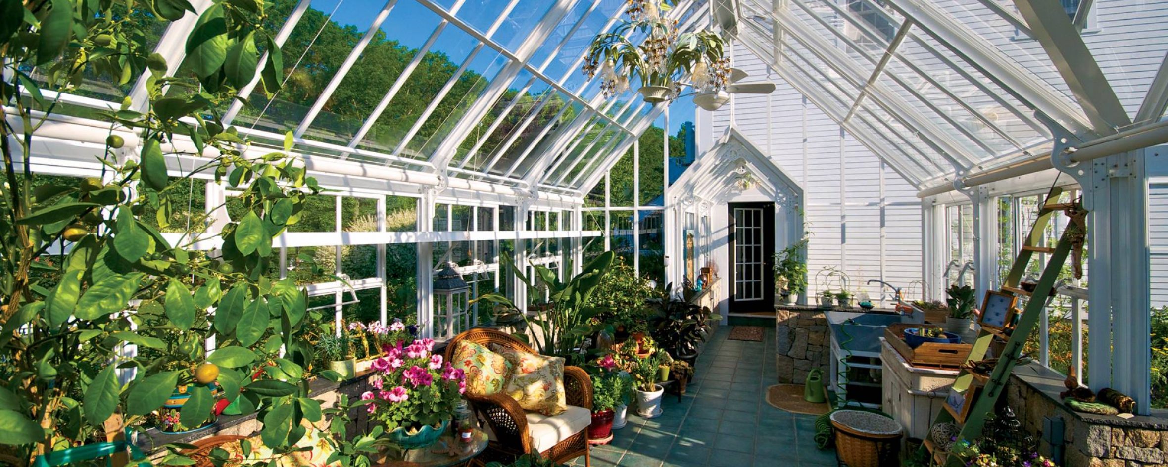 Abutting Greenhouse - Hartley Botanic