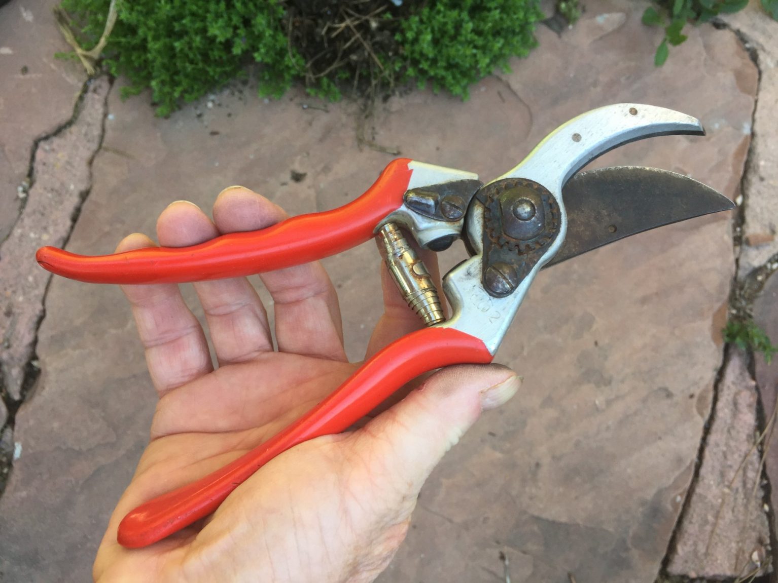 Best Garden Tools for the job by Ethne Clarke