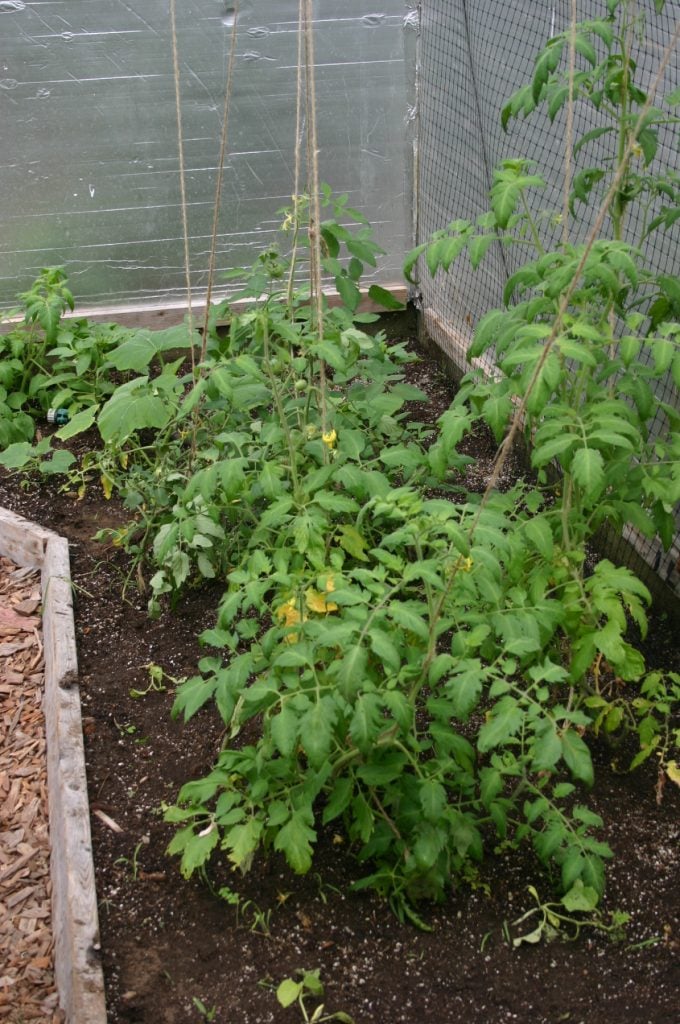 Greenhouse Records by Roger Marshal - Hartley Botanic