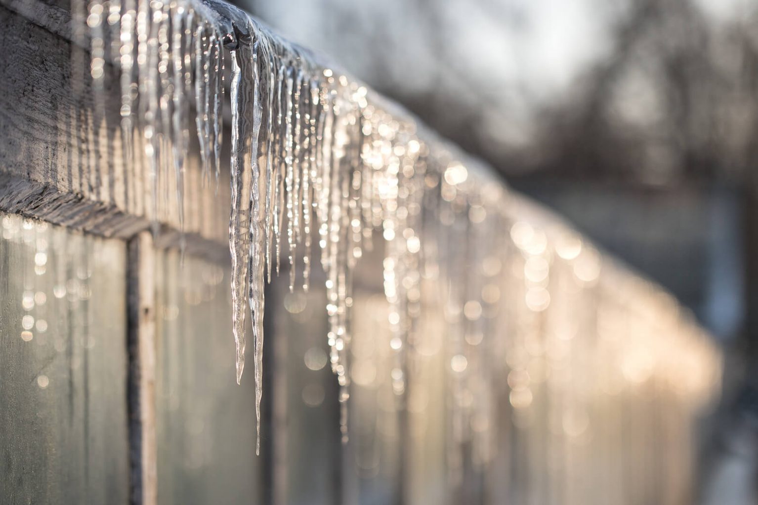 greenhouse-bubble-wrap-the-greenhouse-for-insulation-part-2-1-by