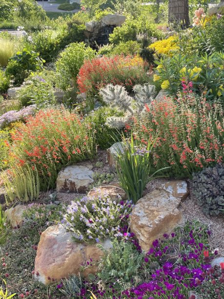 The Nature of Gardens - by Ethne Clarke