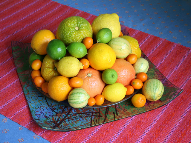 https://hartley-botanic.com/wp-content/uploads/2022/07/153-You-can-grow-a-wide-variety-of-citrus-under-glass.-Robin-Cushman-Photography-.jpg