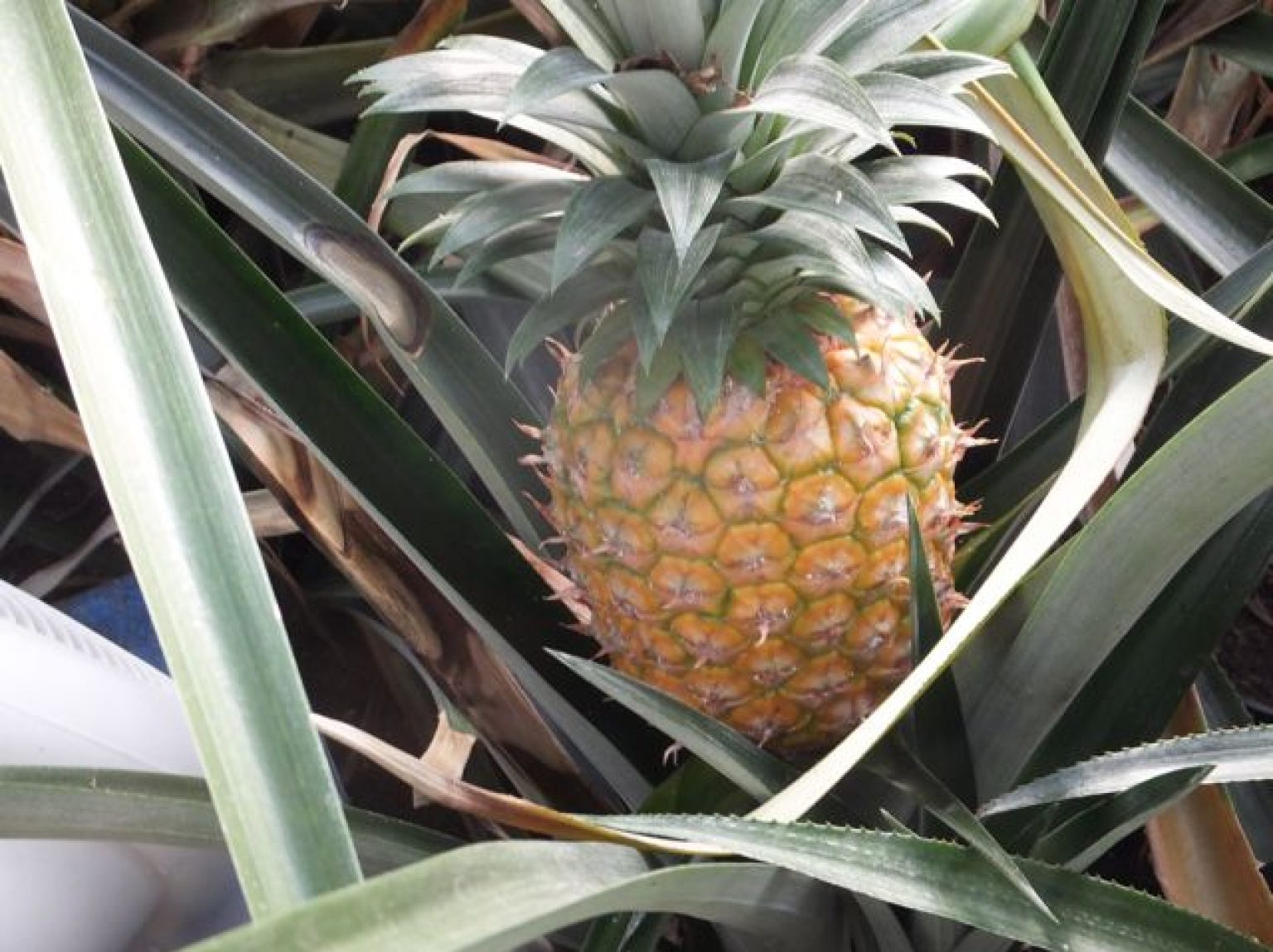 Feels less cold when it’s drier by Bob Flowerdew